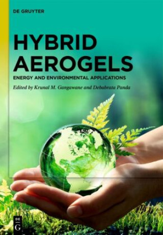Kniha Hybrid Aerogels Krunal M. Gangawane