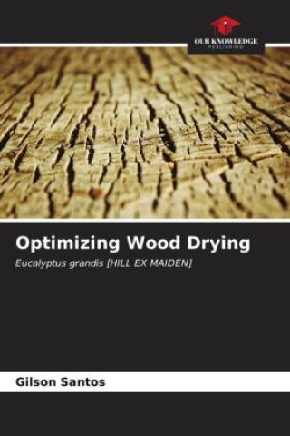 Knjiga Optimizing Wood Drying Gilson Santos