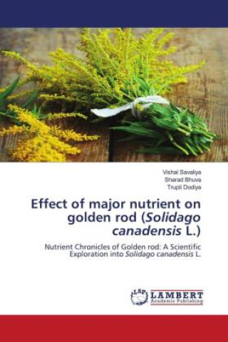 Carte Effect of major nutrient on golden rod (Solidago canadensis L.) Vishal Savaliya