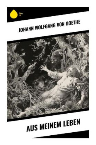 Carte Aus meinem Leben Johann Wolfgang von Goethe