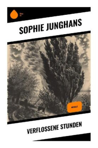 Buch Verflossene Stunden Sophie Junghans