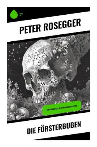 Knjiga Die Försterbuben Peter Rosegger