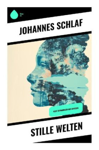 Kniha Stille Welten Johannes Schlaf