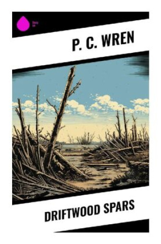 Książka Driftwood Spars P. C. Wren