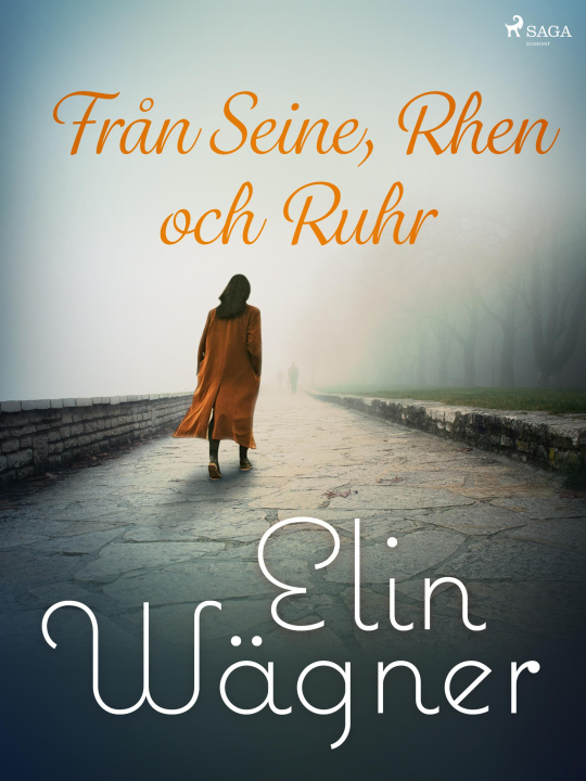 E-book Från Seine, Rhen och Ruhr Elin Wagner