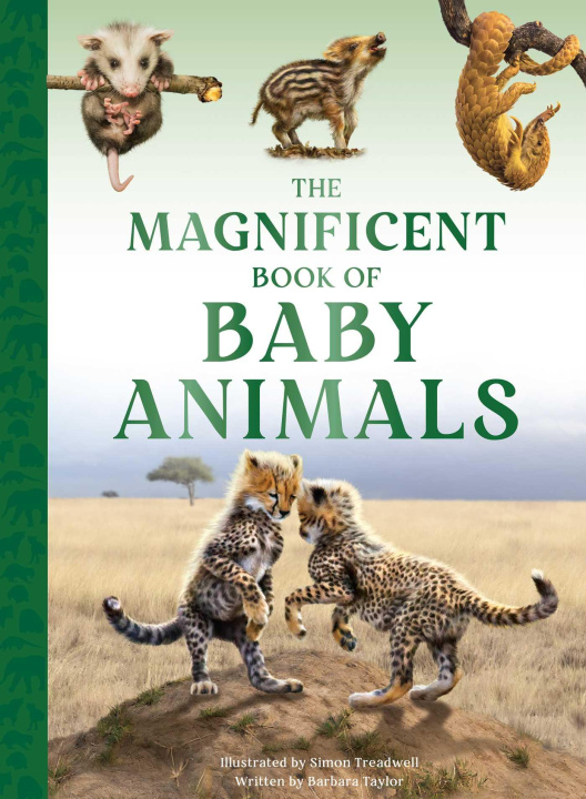 Carte The Magnificent Book of Baby Animals Simon Treadwell