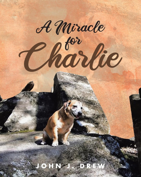 Книга A Miracle for Charlie John J. Drew