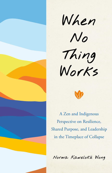 Buch When No Thing Works Norma Wong
