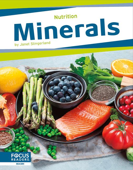 Book Minerals Janet Slingerland