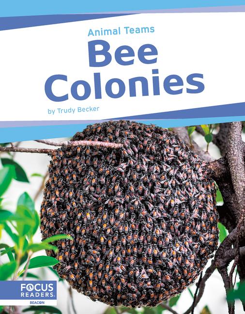 Knjiga Bee Colonies Trudy Becker