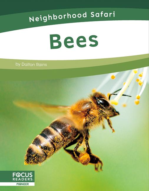 Knjiga Bees Dalton Rains