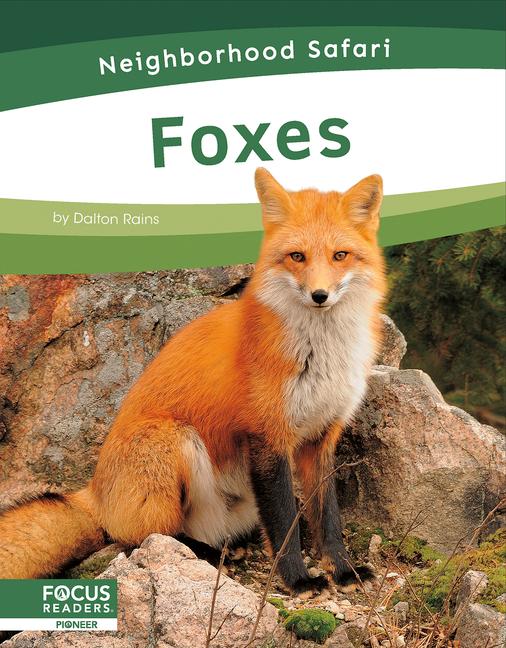 Knjiga Foxes Dalton Rains