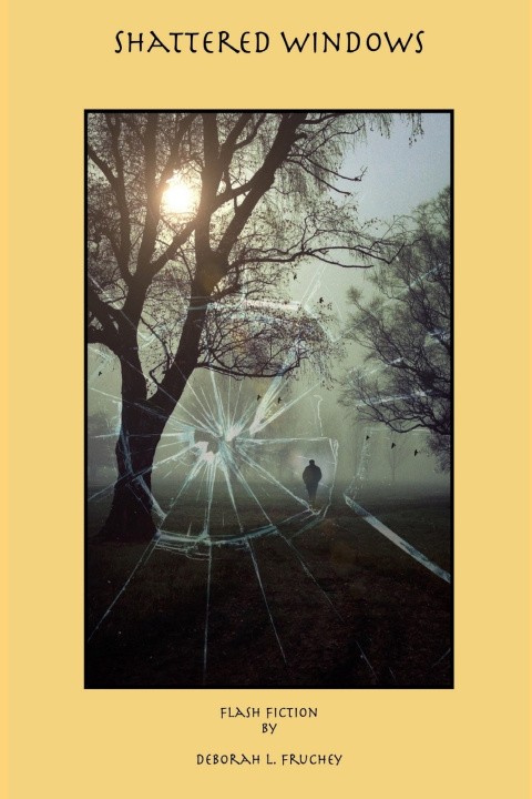 Книга Shattered Windows Deborah L. Fruchey