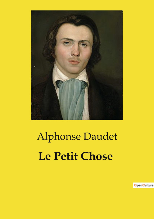 Knjiga Le Petit Chose Daudet