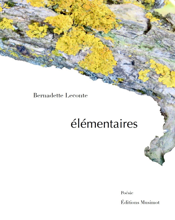 Book Élémentaires Leconte