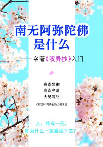 Knjiga THIS IS BUDDHISM (CHINESE VERSION) Shigeki Ohmi