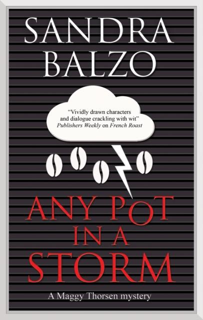 Knjiga Any Pot in a Storm Sandra Balzo