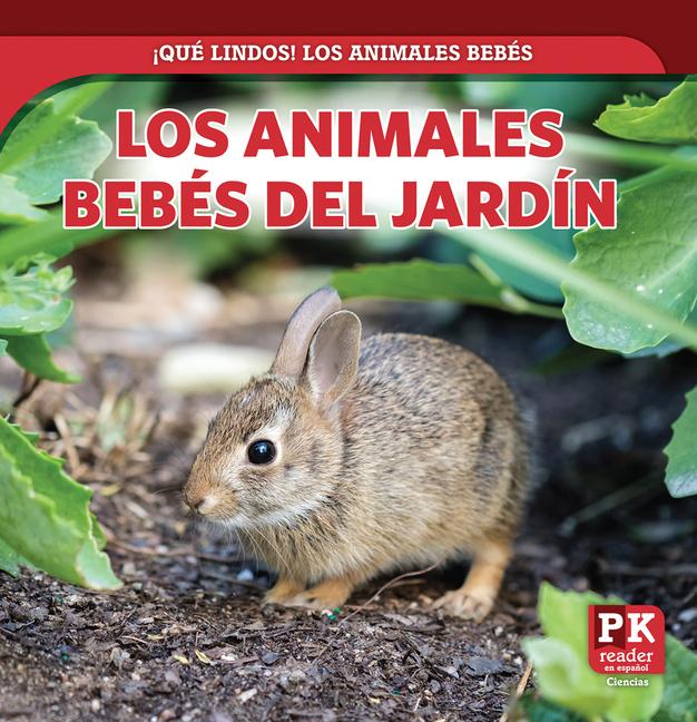 Carte Los Animales Bebés del Jardín (Baby Backyard Animals) 