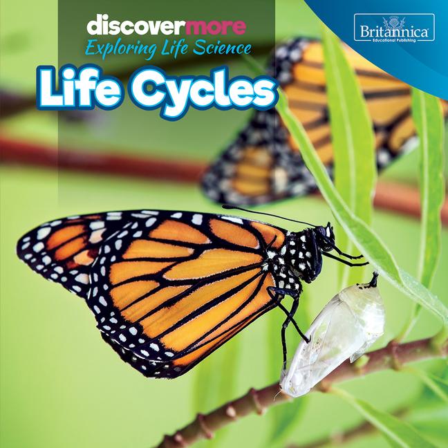 Knjiga Life Cycles 