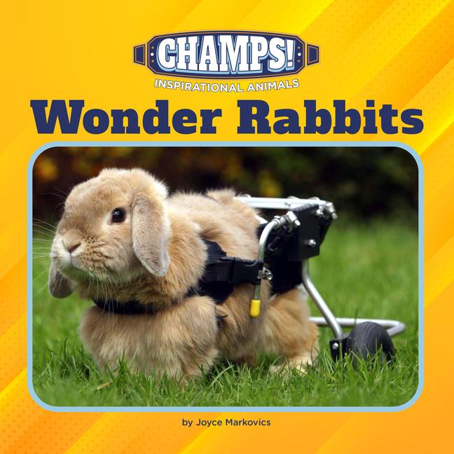 Knjiga Wonder Rabbits 