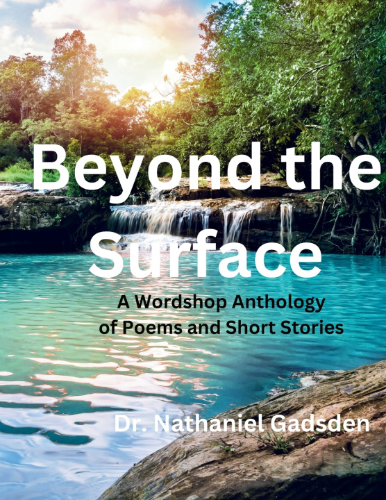 Knjiga Beyond the Surface Christine D Johnson