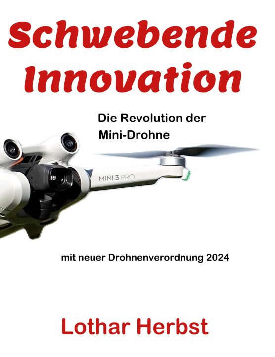 Book Schwebende Innovation Lothar Herbst