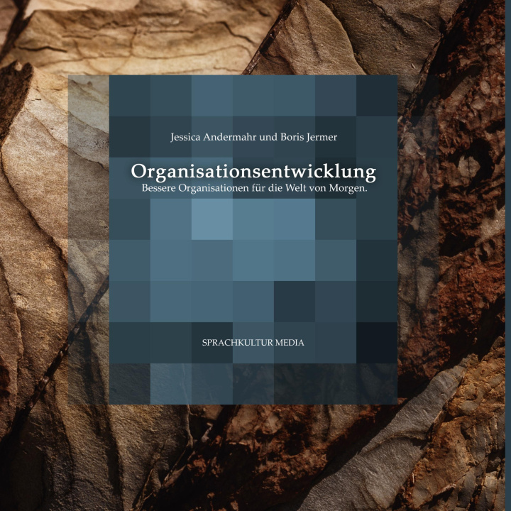 Libro Organisationsentwicklung Boris Jermer