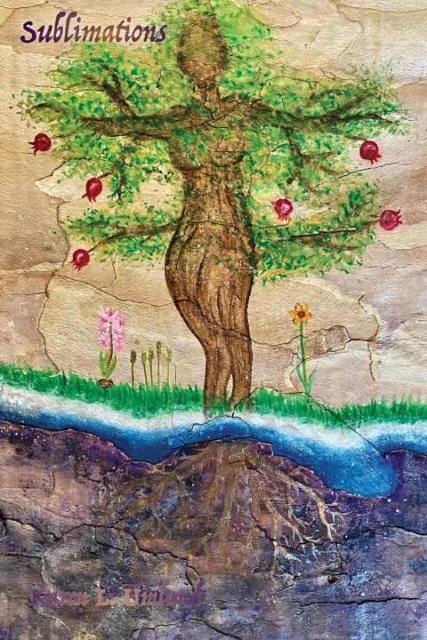 Knjiga Sublimations Karen L Umland
