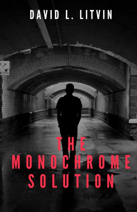 Knjiga The Monochrome Solution David Litvin