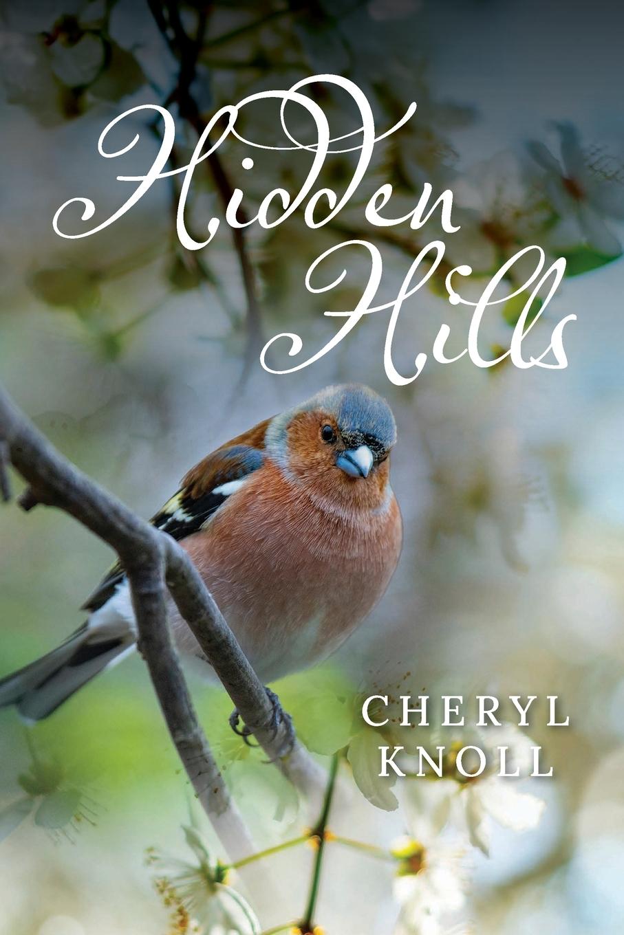 Knjiga Hidden Hills Cheryl Knoll