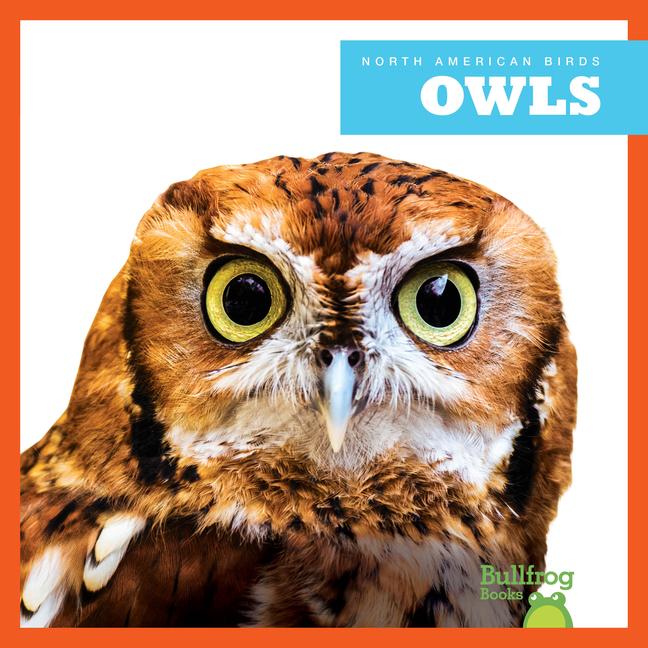 Knjiga Owls 
