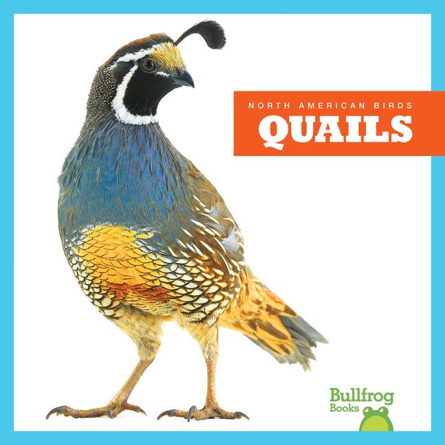 Knjiga Quails 