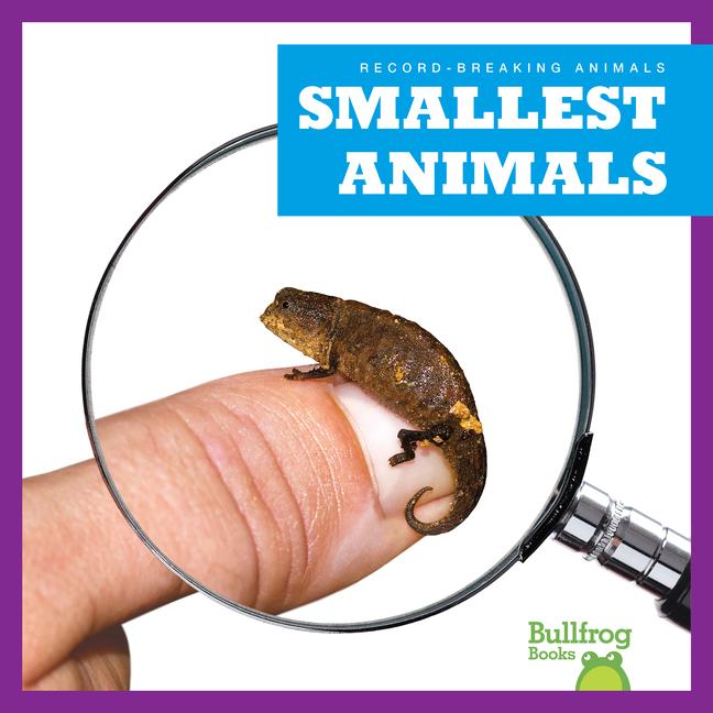 Knjiga Smallest Animals 