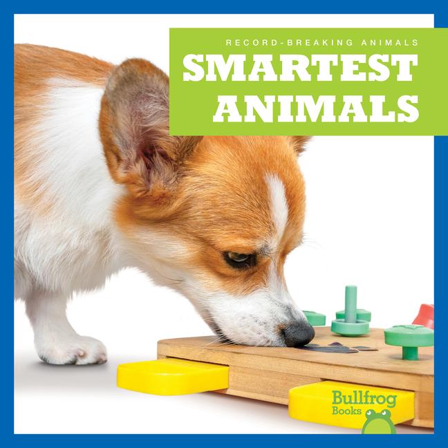 Knjiga Smartest Animals 