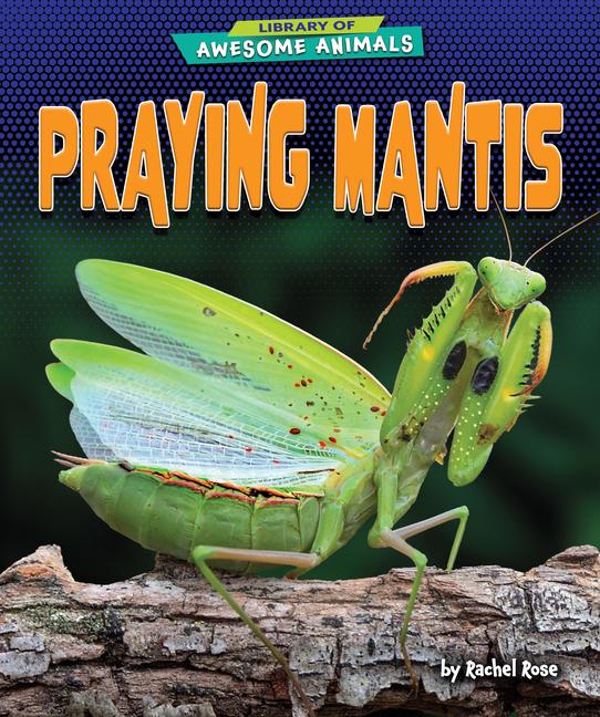 Knjiga Praying Mantis 