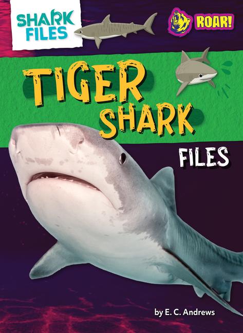 Buch Tiger Shark Files 