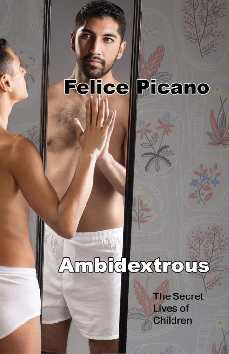 Book Ambidextrous Felice Picano