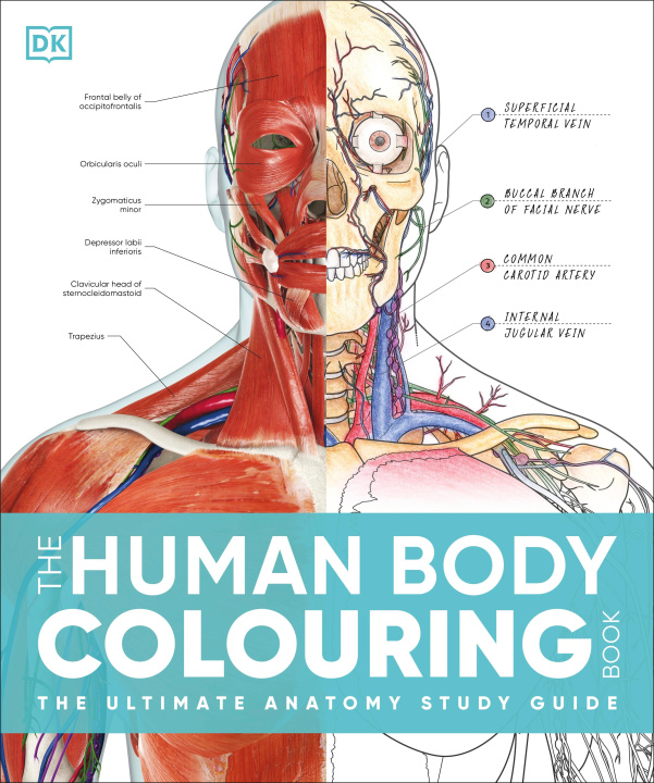 Kniha Human Body Colouring Book DK