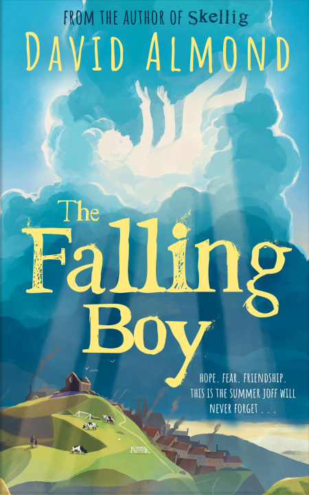 Kniha Falling Boy David Almond