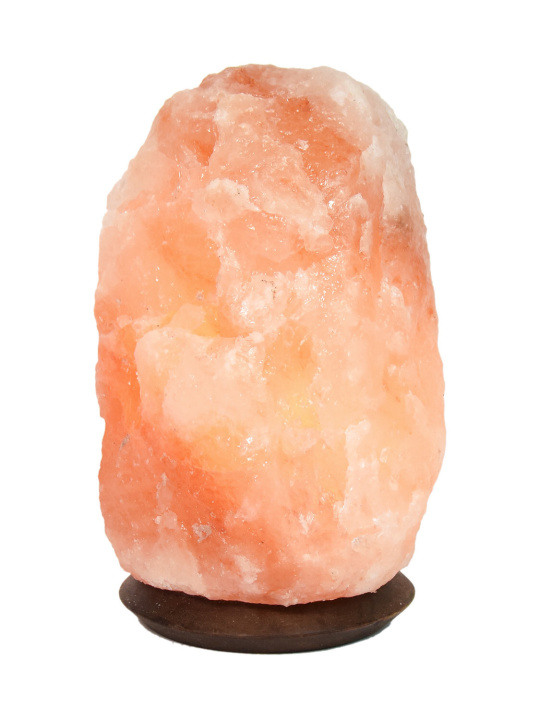 Knjiga Lampe en Cristal de Sel - Pièce de 4 à 6 kg 