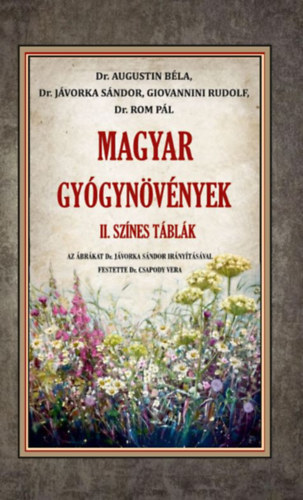 Buch Magyar gyógynövények II. - Színes táblák Dr. Augustin Béla