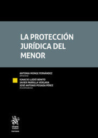Knjiga LA PROTECCION JURIDICA DEL MENOR MONGE FERNANDEZ