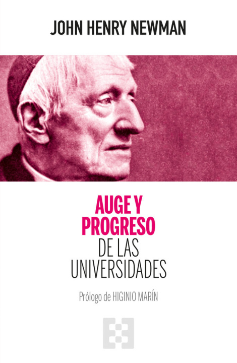 Kniha AUGE Y PROGRESO DE LAS UNIVERSIDADES NEWMAN