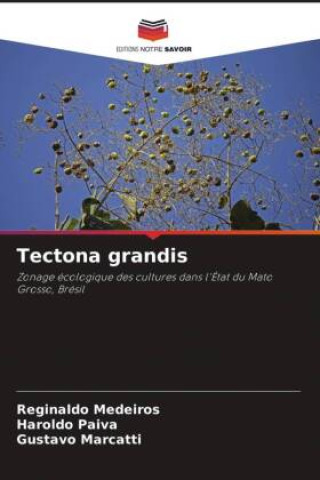 Boek Tectona grandis Reginaldo Medeiros