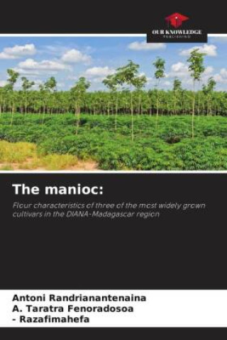Buch The manioc: Antoni Randrianantenaina