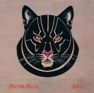 Zvok Camino 