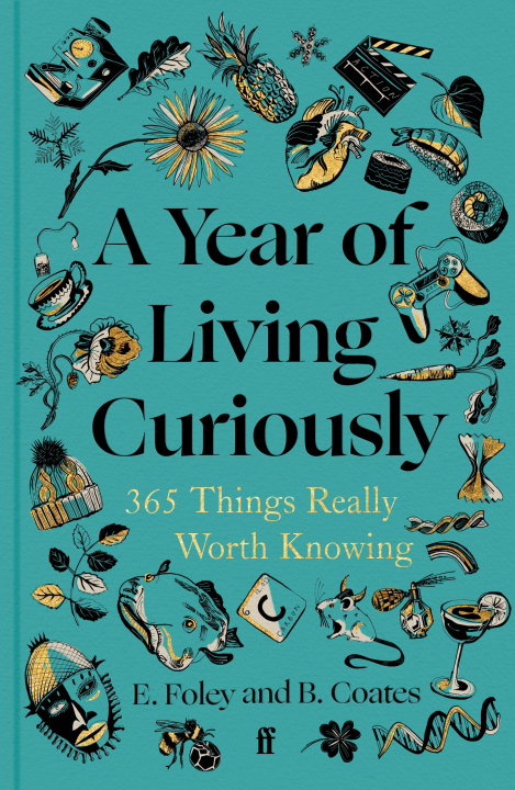 Buch A Year of Living Curiously Elizabeth Foley