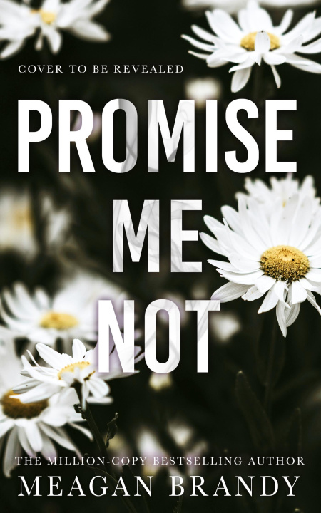 Kniha Promise Me Not 