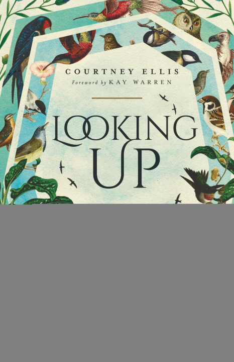 E-book Looking Up Courtney Ellis
