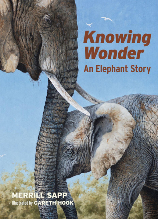Knjiga Knowing Wonder Gareth Hook